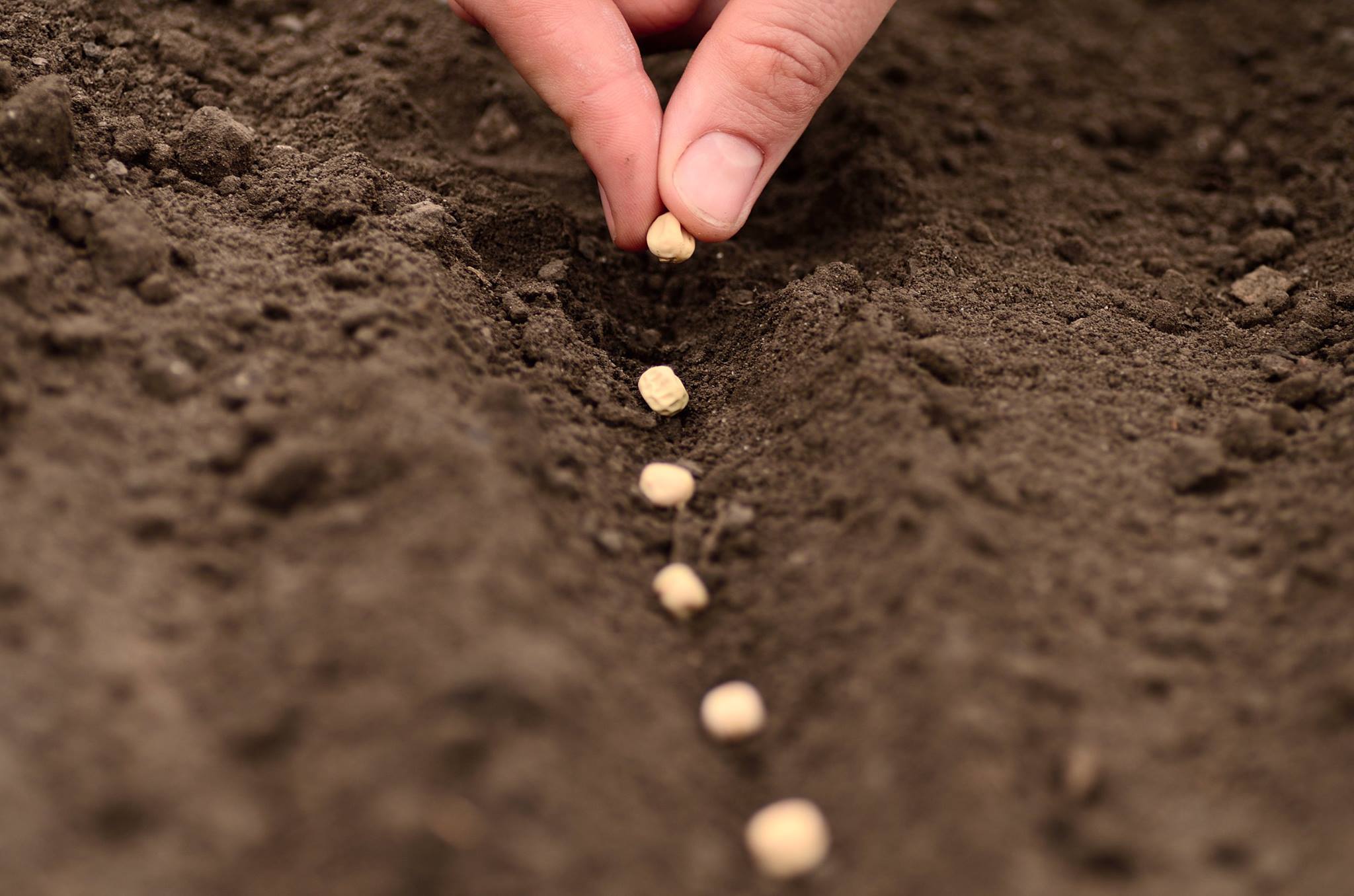 Seed Time And Harvest Time Will Never Cease