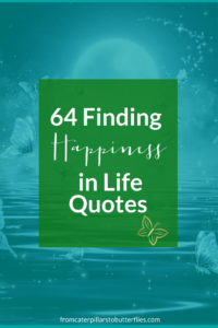 64 Finding Happiness in Life Quotes « Personal Growth Blog and Coaching ...